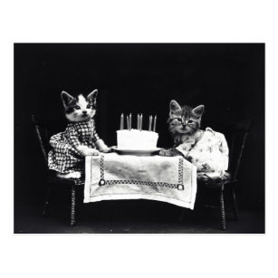 Cartes Postales Joyeux Anniversaire Chat Noir Originales Zazzle Be