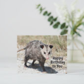Carte Postale Joyeux Anniversaire à Toi Cute Opossum qui Marche  (Debout devant)