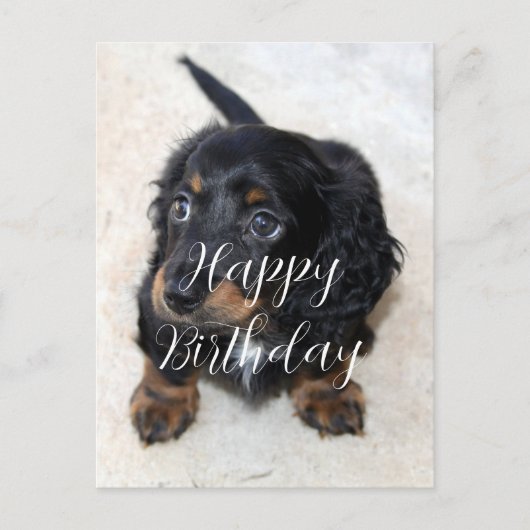 Carte Postale Joyeux anniversaire à un mignon chien teckel noir (Devant)