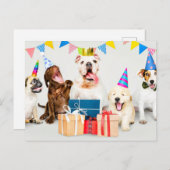 Carte Postale Joyeux anniversaire adorable Animaux de fête (Devant / Derrière)