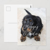 Carte Postale Joyeux anniversaire adorable chiot teckel noir (Devant / Derrière)