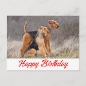 Carte Postale Joyeux Anniversaire Airedale Terrier Chien Chien C (Devant)