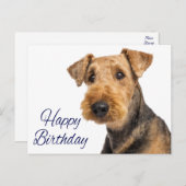 Carte Postale Joyeux Anniversaire Airedale Terrier Chien Chien C (Devant / Derrière)