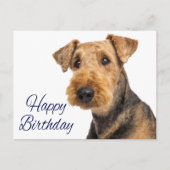Carte Postale Joyeux Anniversaire Airedale Terrier Chien Chien C (Devant)