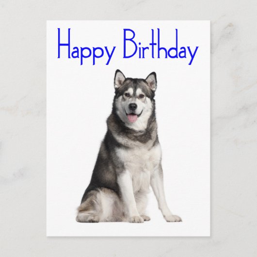 Carte Postale Joyeux Anniversaire Alaskan Malamute Chien Chien C (Devant)