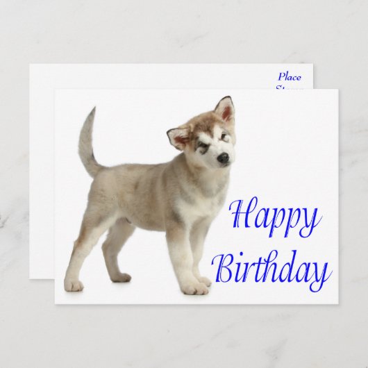 Carte Postale Joyeux Anniversaire Alaskan Malamute Chien Chien C (Devant / Derrière)