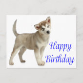 Carte Postale Joyeux Anniversaire Alaskan Malamute Chien Chien C (Devant)