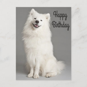 Carte Postale Joyeux Anniversaire Américain Eskimo Chien Chien C