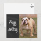 Carte Postale Joyeux Anniversaire Anglais Bulldog Chalkboard Car (Devant / Derrière)