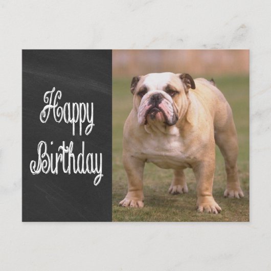 Carte Postale Joyeux Anniversaire Anglais Bulldog Chalkboard Car (Devant)