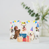 Carte Postale Joyeux Anniversaire Animaux de Fête Adorables (Debout devant)