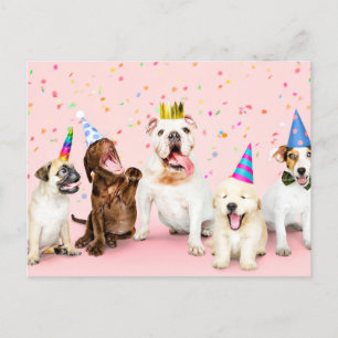 Carte Postale Joyeux Anniversaire Animaux de Fête Mignons