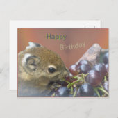 Carte postale joyeux anniversaire avec un écureuil (Devant / Derrière)