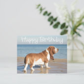 Carte Postale Joyeux Anniversaire Basset Hound Chien Chien Pot C (Debout devant)