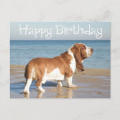 Carte Postale Joyeux Anniversaire Basset Hound Chien Chien Pot C (Devant)