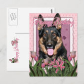 Carte Postale Joyeux anniversaire - berger allemand - Kuno (Devant / Derrière)