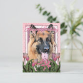 Carte Postale Joyeux anniversaire - Berger allemand - Long Haire (Debout devant)