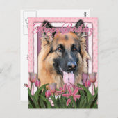 Carte Postale Joyeux anniversaire - Berger allemand - Long Haire (Devant / Derrière)