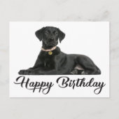 Carte Postale Joyeux anniversaire Black Labrador Retriever Chien (Devant)
