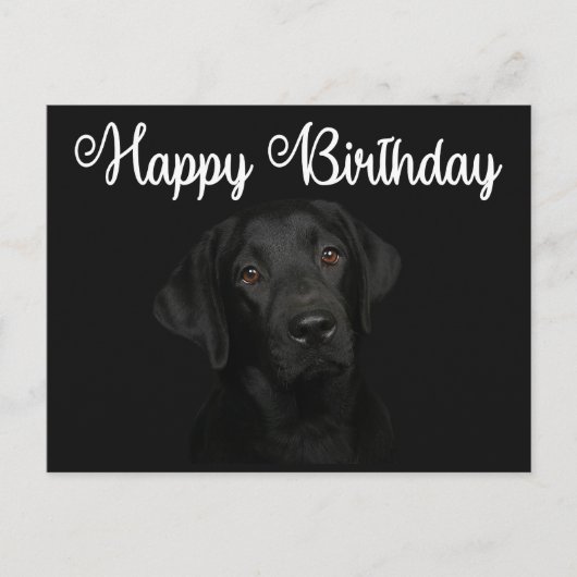 Carte Postale Joyeux anniversaire Black Labrador Retriever Chien (Devant)