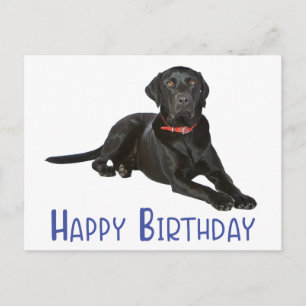 Carte Postale Joyeux anniversaire Black Labrador Retriever Chien