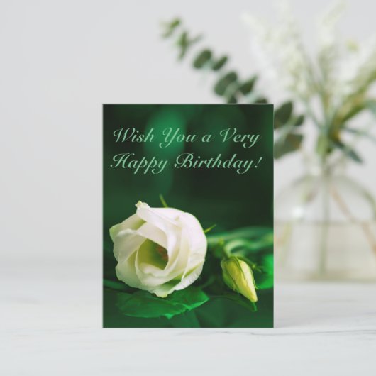 Carte Postale Joyeux anniversaire blanc rose sur vert (Debout devant)