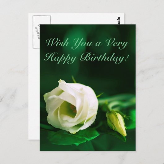 Carte Postale Joyeux anniversaire blanc rose sur vert (Devant / Derrière)