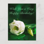 Carte Postale Joyeux anniversaire blanc rose sur vert (Devant)