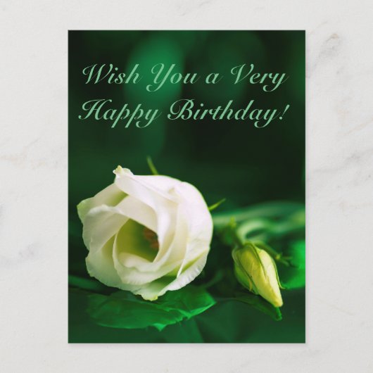 Carte Postale Joyeux anniversaire blanc rose sur vert (Devant)