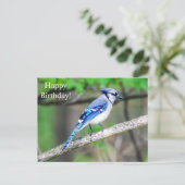 Carte postale Joyeux anniversaire Blue Jay (Debout devant)