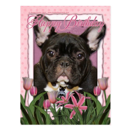 Carte Postale Joyeux Anniversaire Bouledogue Francais Teal Zazzle Be