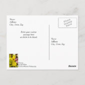 Carte Postale Joyeux Anniversaire Bouquet Joyeux Peintre (Dos)