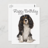 Carte Postale Joyeux Anniversaire Cavalier King Charles Spaniel (Devant / Derrière)