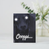 Carte Postale Joyeux Anniversaire - Chandelles à tiques - Dachsh (Debout devant)