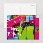 Carte Postale Joyeux anniversaire chat tigré (Devant / Derrière)