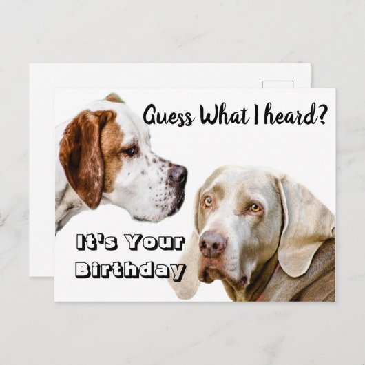 Carte Postale Joyeux anniversaire chien (Devant / Derrière)