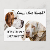 Carte Postale Joyeux anniversaire chien (Devant)