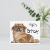 Carte Postale Joyeux Anniversaire Chien Chien Chien Noir (Debout devant)
