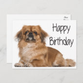 Carte Postale Joyeux Anniversaire Chien Chien Chien Noir (Devant / Derrière)