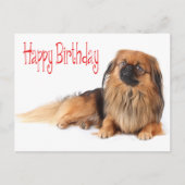 Carte Postale Joyeux Anniversaire Chien Chien Chien Rouge (Devant)