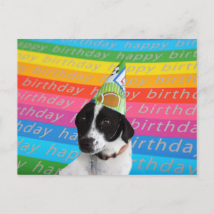 Carte Postale Joyeux Anniversaire Chien Colorful Text Banner Car