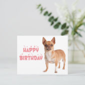 Carte Postale Joyeux Anniversaire Chien Drôle Anniversaire Chihu (Debout devant)