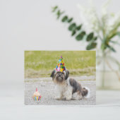 Carte Postale Joyeux Anniversaire Chien Mignon avec Gâteau (Debout devant)