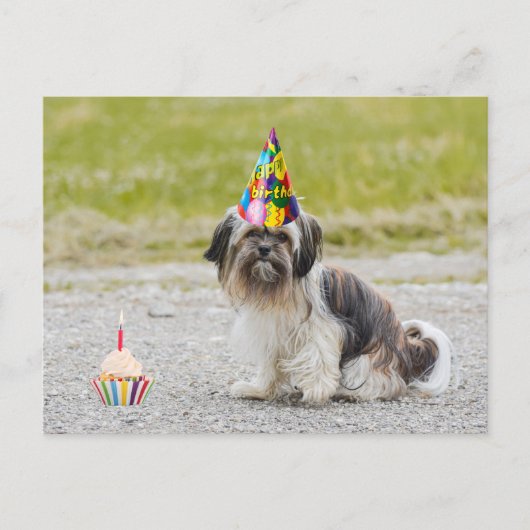 Carte Postale Joyeux Anniversaire Chien Mignon avec Gâteau (Devant)