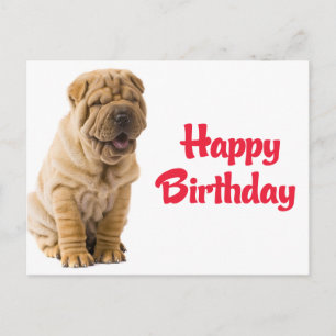 Carte Postale Joyeux Anniversaire Chien Shar Pei Chinois Carton