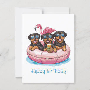 Carte Postale Joyeux Anniversaire Chiens Rottweiler Tube de Pisc