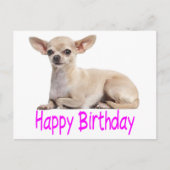 Carte Postale Joyeux Anniversaire Chihuahua Chien Chiot Purple V (Devant)