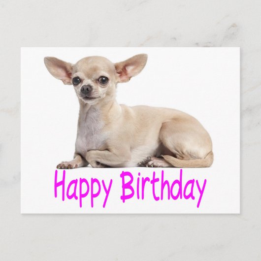 Carte Postale Joyeux Anniversaire Chihuahua Chien Chiot Purple V (Devant)