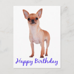 Carte Postale Joyeux anniversaire Chihuahua Chiuppy Blue - Verse
