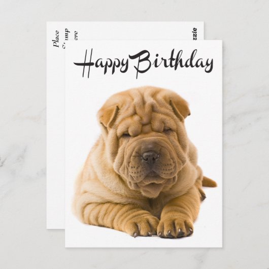 Carte Postale Joyeux Anniversaire Chinois Shar Pei Chien Chien C (Devant / Derrière)